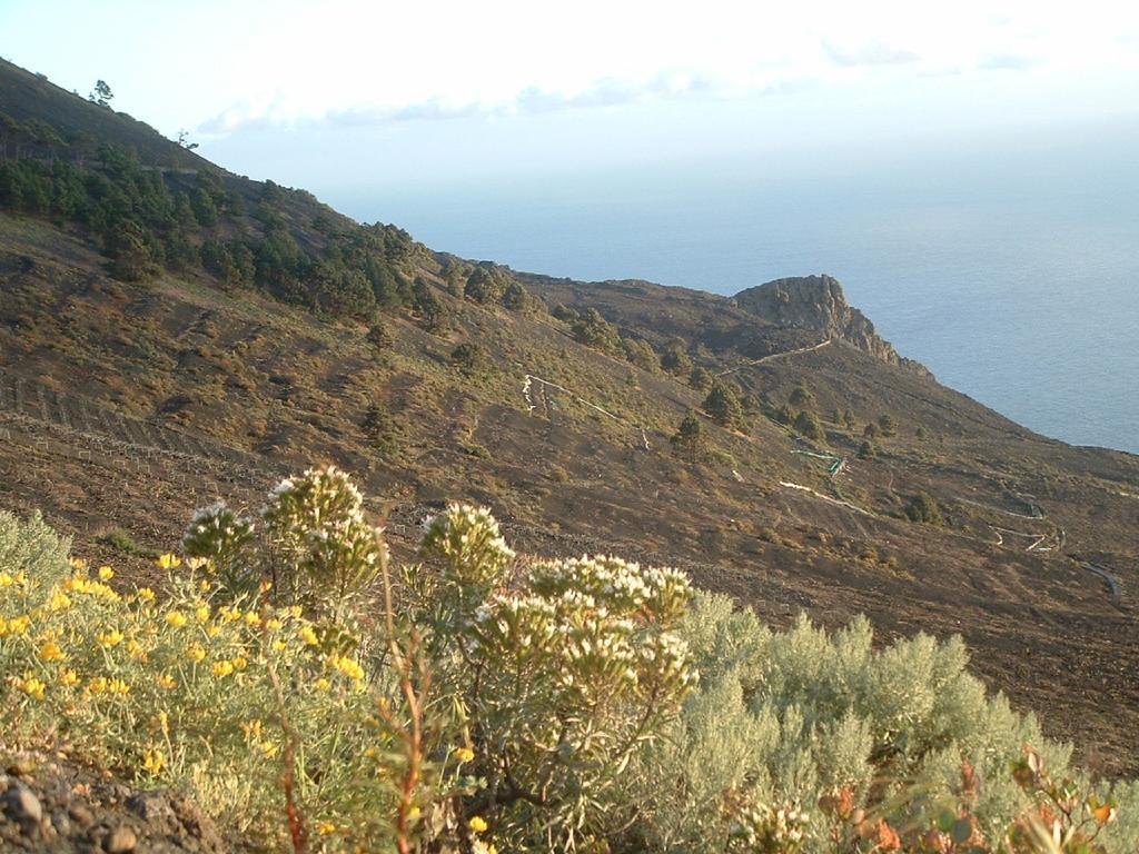 Casa Los Vinedos A Fuencaliente de la Palma Exterior foto